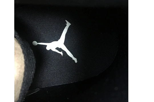 WMNS Fossil AH7389-003 AH7389-003 Air Jordan 1 Premium High Mushroom 0408